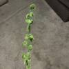 Small Leaves