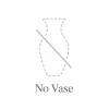 None / No Vase