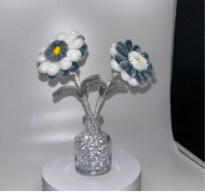 Gerbera Daisy